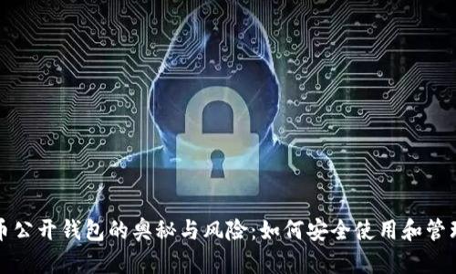 揭秘比特币公开钱包的奥秘与风险:如何安全使用和管理数字资产