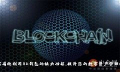 如何有效利用BK钱包的放大功能，提升
