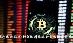 比特币钱包选择指南：如何选择最适合