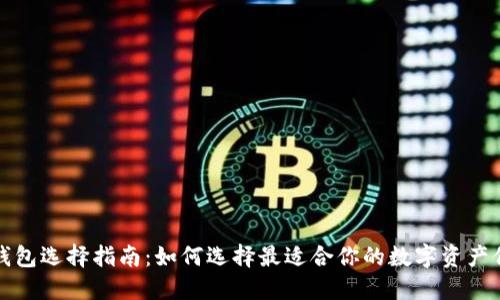 比特币钱包选择指南:如何选择最适合你的数字资产保护工具