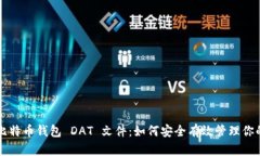 深度解析比特币钱包 DAT 文件：如何安