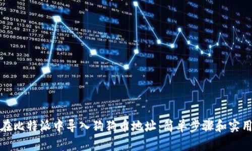 如何在比特派中导入狗狗币地址：简单步骤和实用技巧