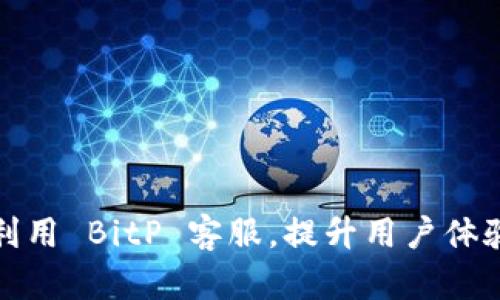 如何高效利用 BitP 客服,提升用户体验与满意度