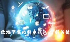 如何安全高效地下载比特币钱包：掌握