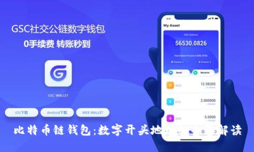 比特币链钱包：数字开头地址的全面解读