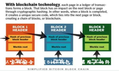 如何从官网安全下载BitP钱包:苹果用户的终极指南