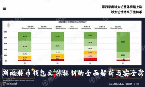 早期比特币钱包文件私钥的全面解析与安全防护