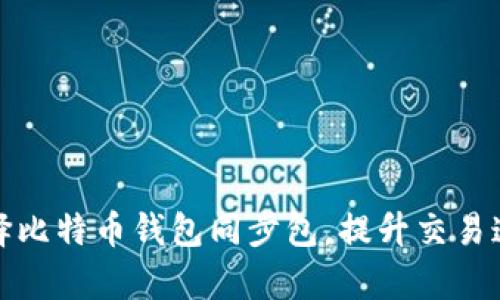 如何有效选择比特币钱包同步包,提升交易速度与安全性