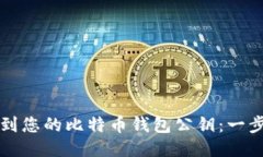 如何找到您的比特币钱包公钥：一步步