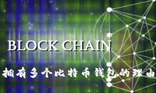 一个人可以拥有多个比特币钱包的理由和管理技巧