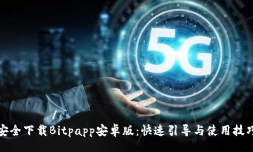  عرض /
安全下载Bitpapp安卓版：快速引导与使用技巧