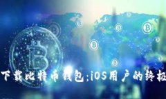 轻松下载比特币钱包：iOS用户的终极指
